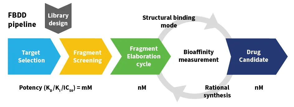 Diagram of the fragment-based drug discovery pipeline